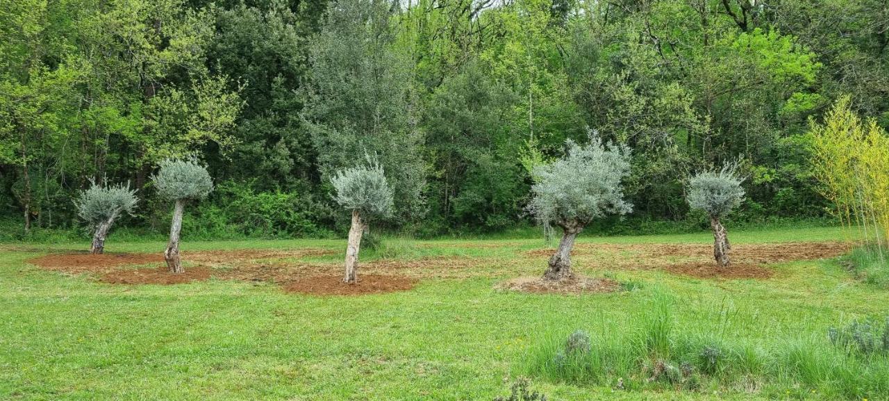 הוילה סרלה-לה קנדה Domaine De La Queyrie מראה חיצוני תמונה