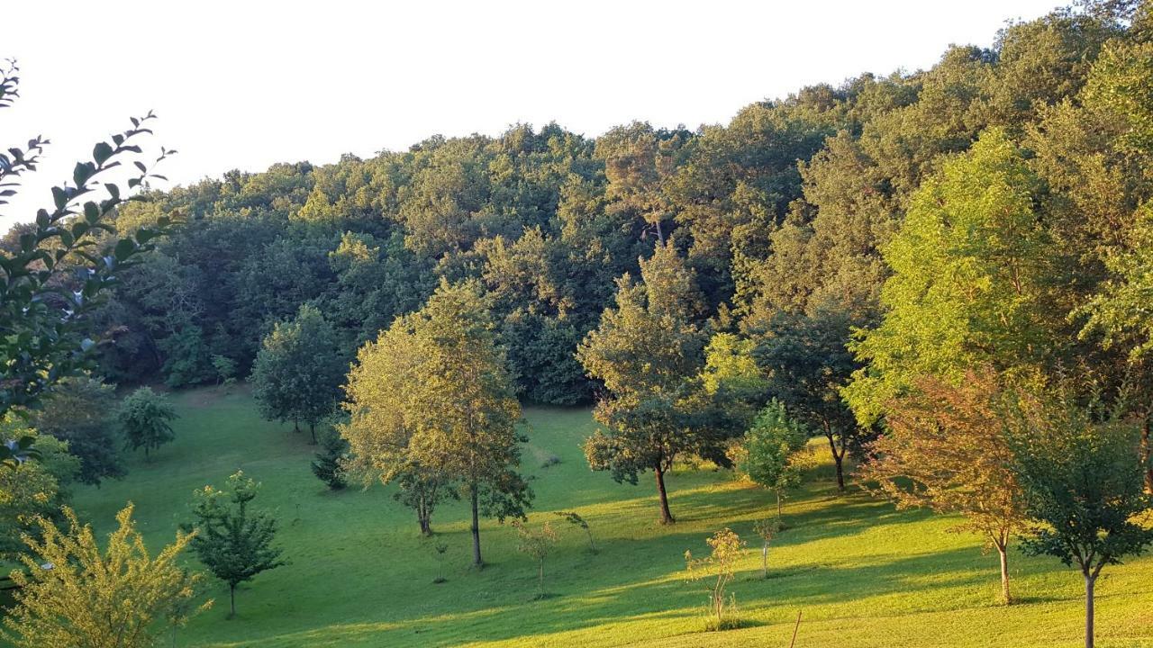 הוילה סרלה-לה קנדה Domaine De La Queyrie מראה חיצוני תמונה